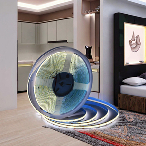 Cob <b>LED</b> <b>Strip</b> Light Smart 5m Flexible 24V 12V <b>Warm</b> <b>White</b> Pure <b>White</b> CCT IP20 Dimmable Copper Lamp Body - Product Image 3