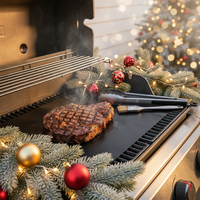Ensemble de tapis de cuisson pour barbecue au charbon de bois en PTFE antiadhésif réutilisable, résistant à la chaleur jusqu'à 360 degrés Celsius, avec pince et brosse pour grillades
