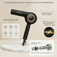 Sèche-cheveux électrique ionique négatif professionnel en gros pour salon, 1000W 1600W 2000W, moteur CC, chaud et froid, concentrateur