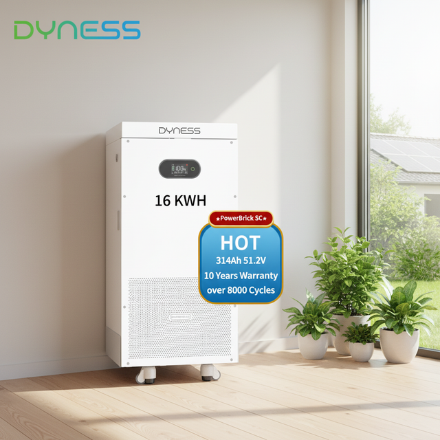 Dyness Batterie Lithium PowerBrick SC 16KWH 51.2V 314AH Batterie De Stockage Domestique Basse Tension