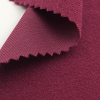 2025 nouveau Design 100% Polyester velours tissu boucle velours 180gsm brossé tapisserie d'ameublement pour canapé voiture tricoté Technique pour les filles