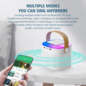 Bestseller di alta qualità Mini altoparlante con microfono Wireless BT V5.3 piccolo e portatile Karaoke per uso esterno e interno - Product Image 6
