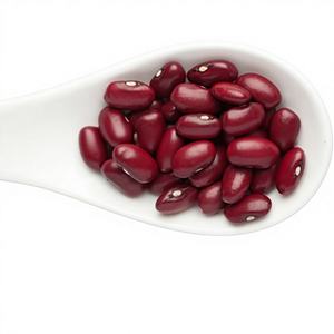 Extrait de poudre de haricot rouge, superaliment naturel à base de plantes pour la santé digestive, l'énergie, l'immunité, le bien-être et la nutrition quotidienne - Product Image 1