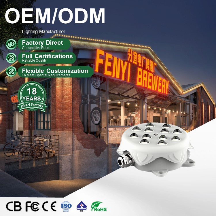 Outdoor Waterproof Park Lighting Decoration Point Light Source Building Bridge Outline Decoration LED Pixel Light