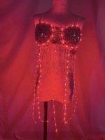 Haut court LED à franges et sequins, style halter, pour performance scénique adulte, haut court à sequins argentés, style cami, pour femme