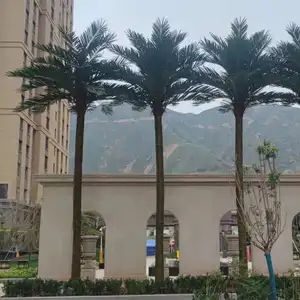 Sen Masine 10m finte grandi piante su misura paesaggio all'aperto ad alta simulazione grandi palme artificiali di cocco all'aperto