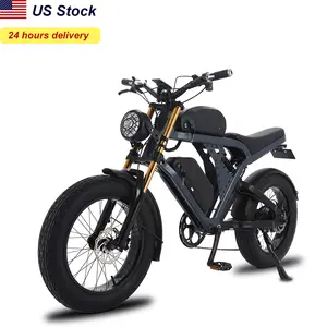 2023 20 Inch Full Suspension Men Off Road Ebike 1000watt 20" Electric Off-road Mountain Bicycle For Adult Fat Tire Electric Bike