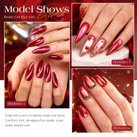 Deroi Red Tones Cat Eye Nail Gel Magnetic UV Nail Gel Private Label Wholesale HEMA Free TPO Free Cat Eye Gel Polish Set