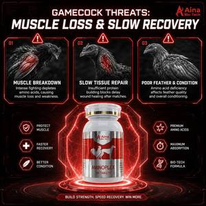 Eigen Merk |   Racing Rooster Aminoplex Tabletten 100 stuks Hoge-Potente Aminozuur Booster Hoogwaardig Eiwit Immuunondersteuning Anti-Vermoeidheid - Product Image 2