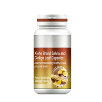 Capsules de Salvia Ginkgo Biloba en gros, 1,3 g de Tanshinone et 0,9 g de Flavonoïdes par 100 g, Complément pour la Santé Cardiovasculaire