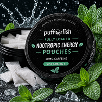 Usine OEM Personnalisée en Stock Zxn Velo Energy Snus Cans Fox Sachets de Snus aux Saveurs Variées Plastique & Métal
