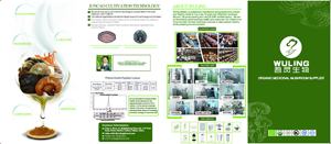Растительный экстракт, порошок Ganoderma Lucidum, беспищевой экстракт грибов линчжи, оболочка Ganoderma/Рейши/гриб натуральный - Product Image 4
