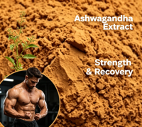 Poudre d'extrait d'ashwagandha pure en gros, 5% 10% Withanolides, matière première de qualité alimentaire pour boissons et produits alimentaires