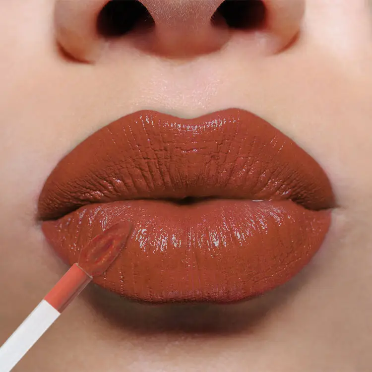Pigmen Lip Gloss Alami Buildable Dalam Tabung Lip Gloss untuk Riasan Bibir Mengilap