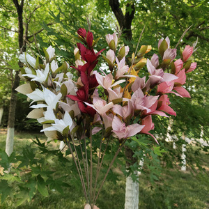 Meiyu Craft <b>Flowers</b> Single Phalaenopsis Gladiolus Silk <b>Flower</b> 30cm-100cm Wedding Decoration <b>Artificial</b> <b>Flower</b> Home Decor - Product Image 2