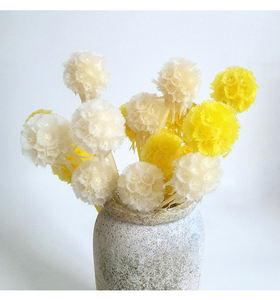 Fleurs séchées naturelles à 100 %, fleurs séchées conservées, fruits de moulin à vent, gousses de scabieuse uniques pour la décoration de vase - Product Image 1