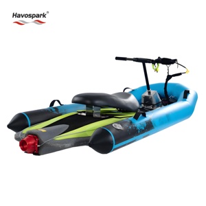 Ensemble d'accessoires pour planche de <span class=keywords><strong>surf</strong></span> électrique Havospark avec direction et siège pour le <span class=keywords><strong>surf</strong></span> en eaux océaniques - Product Image 1