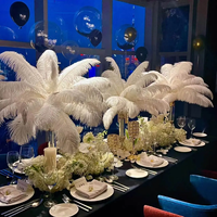 Plumes d'autruche blanches colorées de 45-50 cm (18-20 po) pour la décoration de fêtes et de la maison