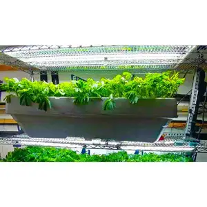 40 ثقوب مربع تنمو المائية نبات خضراوات صينية بلاستيكية Aeroponic Microgreen صينية قابلة للتمدد البذر