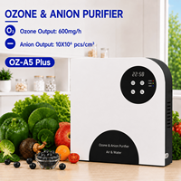 Purificateur d'air portable pour voiture, ioniseur mural, générateur d'ozone O3, commande tactile pour la cuisine, les fruits, les légumes, la viande, les fruits de mer