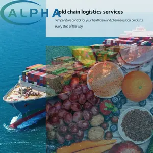 Servicio de Transporte de Carga Marítima EXW FCA FOB DDP DAP FBA de China a Noruega <span class=keywords><strong>Oslo</strong></span> por Envío Marítimo, Almacenamiento, Seguro y Entrega - Product Image 3