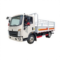 Nouveaux camions fourgons Euro 5 pour la livraison express, le transport de bouteilles de gaz et de marchandises dangereuses