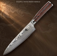 Ensemble de couteaux de cuisine de haute qualité, 67 couches d'acier Damas VG10, couteau de chef japonais, manche en bois Pakka coloré