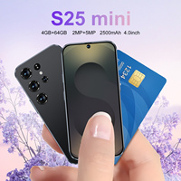 Smartphone Mini Versi S25 4GB+64GB Android Kualitas Tinggi HD LED Ponsel LTE CDMA Sistem Operasi Prancis Laris Terjual