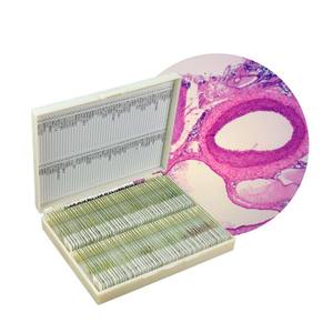 Lames de pathologie humaine de science médicale Offre Spéciale, ensemble de lames préparées au Microscope biologique de microscopie médicale - Product Image 2