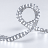 Bande lumineuse LED NEXCELL 6500K blanc froid pour chantier, rouleau de 50 m, éclairage flexible haute tension