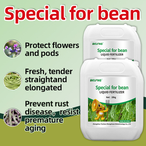 BELFNG Engrais Liquide Organique Spécialisé à Action Rapide à Base d'Acides Aminés Hydrosolubles pour Haricots, Favorise la Croissance des Racines des Légumineuses et des Cultures en Sol - Product Image 1