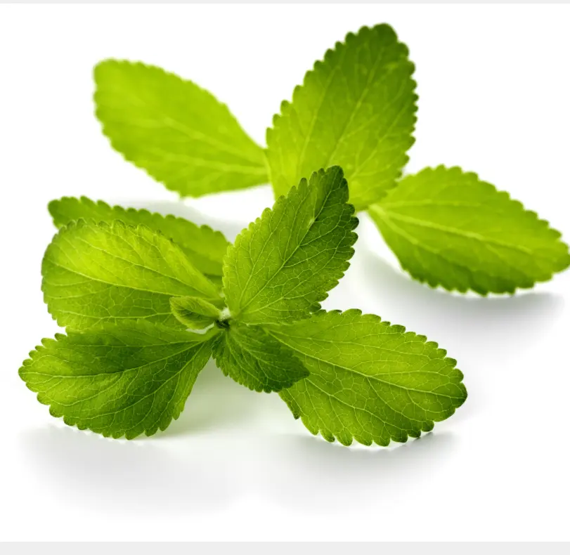 Sweetener stevia, china stevia folhas secas extrato com preço por atacado