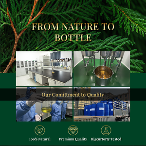 Huile essentielle pure de cyprès en marque privée, huile distillée à la vapeur pour cosmétiques, savon, bougies, soins capillaires, parfums, soins de la peau - Product Image 6