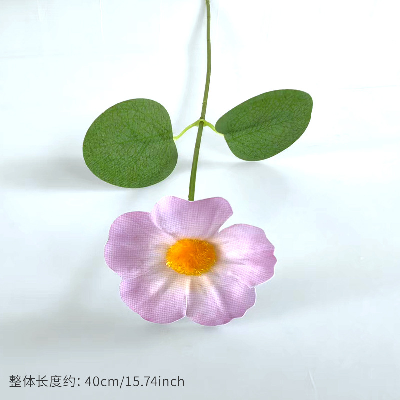 สีชมพูอ่อน