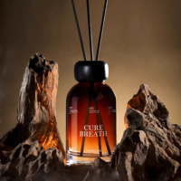 Diffuseurs à bâtonnets en verre écologiques sans plomb, sans flamme, 200 ml, longue durée, parfum frais, avec bâtonnets – Nouveauté usine