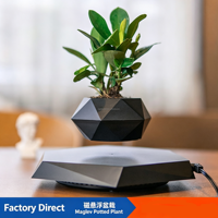 Levitación Magnética para Plantas Artificiales, Flores, Decoración del Hogar, Dormitorio, Jardín, Bonsái Flotante, Maceta Levitante
