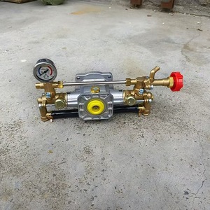 Pompe à eau à piston à double cylindre de type 18, moteur 1100W, ensemble de tête de pompe, 220V, pulvérisateur manuel dédié - Product Image 1