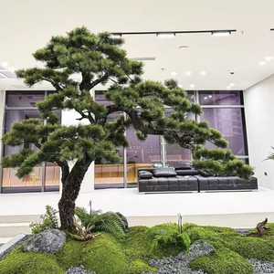 Árbol Artificial de Podocarpus con Tronco de Madera Natural, Estilo Bonsái, Pino Budista en Maceta Grande <span class=keywords><strong>para</strong></span> Decoración de Interiores, Villas y Vestíbulos - Product Image 1