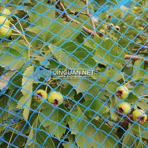 Trắng/xanh/Xanh chim lưới cho vườn lưới cho nho cây giống chim bảo vệ - Product Image 3