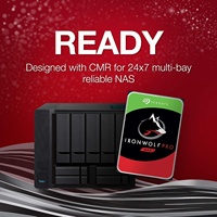 Disco Duro Interno NAS Pro de 10 TB, CMR de 3.5 Pulgadas, SATA 6 Gb/s, 7200 RPM, 256 MB de Caché, RAID (ST10000NT001)