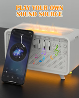 Diffuseur d'arômes 3-en-1 avec bruit blanc, humidificateur à flamme d'ambiance, haut-parleur Bluetooth portable pour hôtel