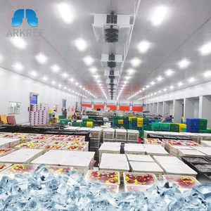 Cho Arkref R744 Đơn Vị Máy Nén Màu Xanh Lá Cây CO2 Hệ Thống An Toàn Cho Làm Mát Không Khí Phòng Lạnh Đổi Mới Với Thùng Bơm Trượt - Product Image 5