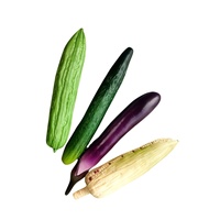 Ensemble de légumes artificiels réalistes (Courge amère, Concombre, Aubergine, Maïs) – Accessoire pédagogique et de présentation
