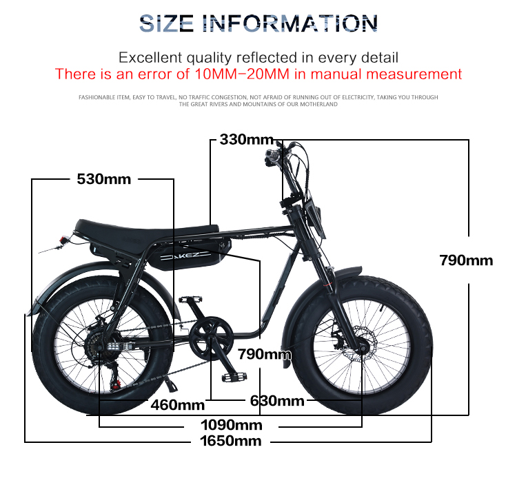 ZX 20*4.0 Inch Fat Tires Snow E-Bike 48V 1500W for 2 People