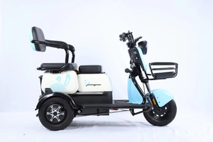 Tricycle électrique à trois places en gros, 800W, 48V, 20AH, longue autonomie, avec panier - Product Image 3