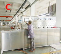 Machine d'extraction de co2 supercritique de pigment végétal de curcumine