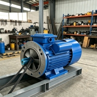 Moteur électrique à induction monophasé à double condensateur série YL pour compresseur d'air, pompe, ventilateur