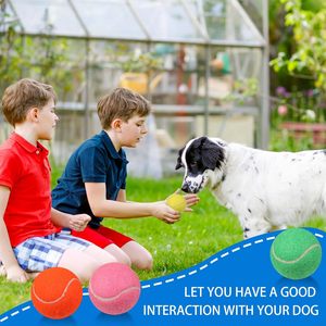 Balle de tennis colorée personnalisée pour chien, jouet à mâcher en caoutchouc durable pour chien, balle de tennis pour l'entraînement et le jeu des chiens - Product Image 5