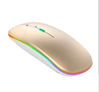 Souris sans fil rechargeable OEM avec lumières LED RVB, mode double BT pour tablette et ordinateur portable, design silencieux et fin, charge sans fil