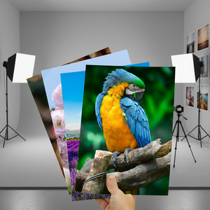 Carta Fotografica Opaca Bifacciale Yalan A3 A4 300gsm per Stampanti a Getto d'Inchiostro, Volantini Personalizzati, Biglietti da Visita, Carta Fotografica Lucida Spessa per Inchiostro a Colori - Product Image 5